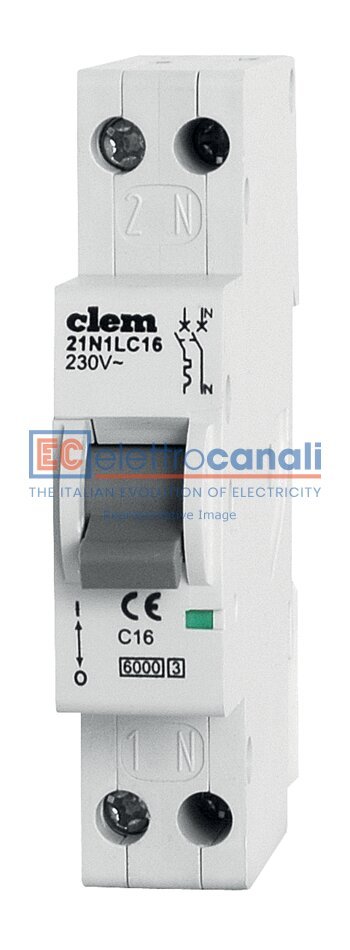 ECK81011