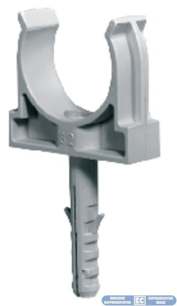 ECCT25