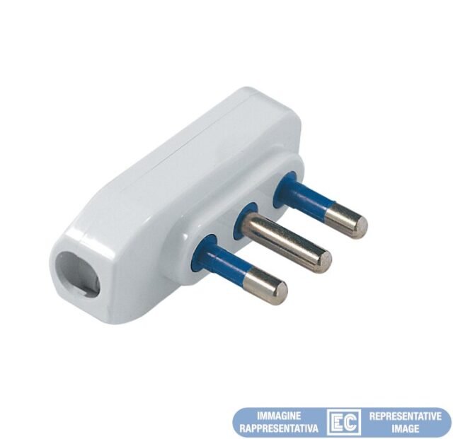 ECK33305