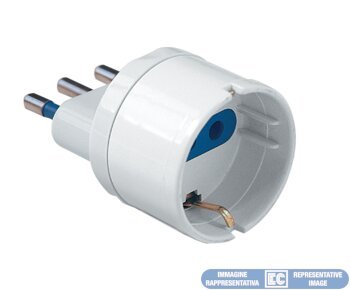 ECK33515