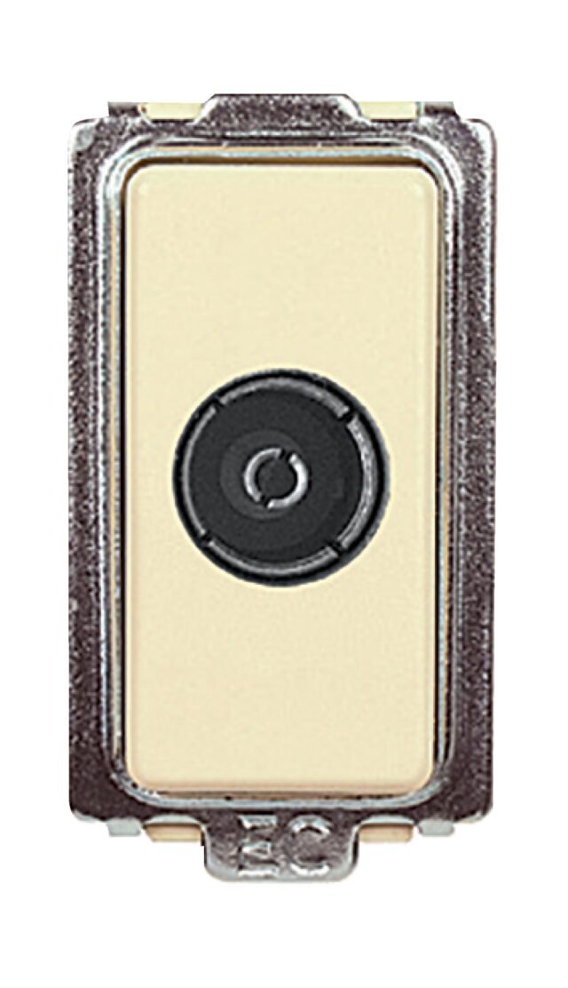 ECL25481