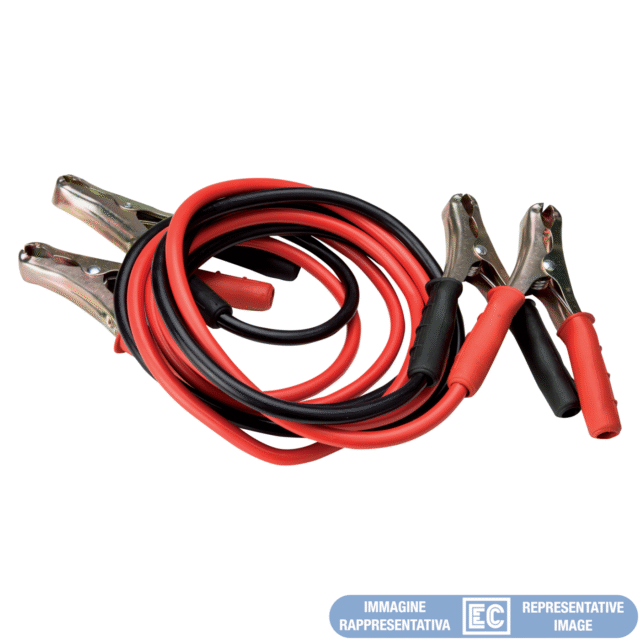 ECK51031