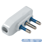 ECK33305