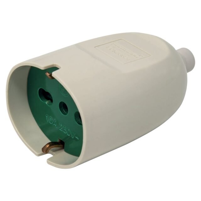 ECK33624
