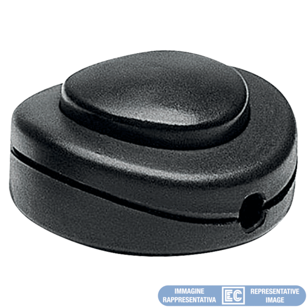 ECK52045