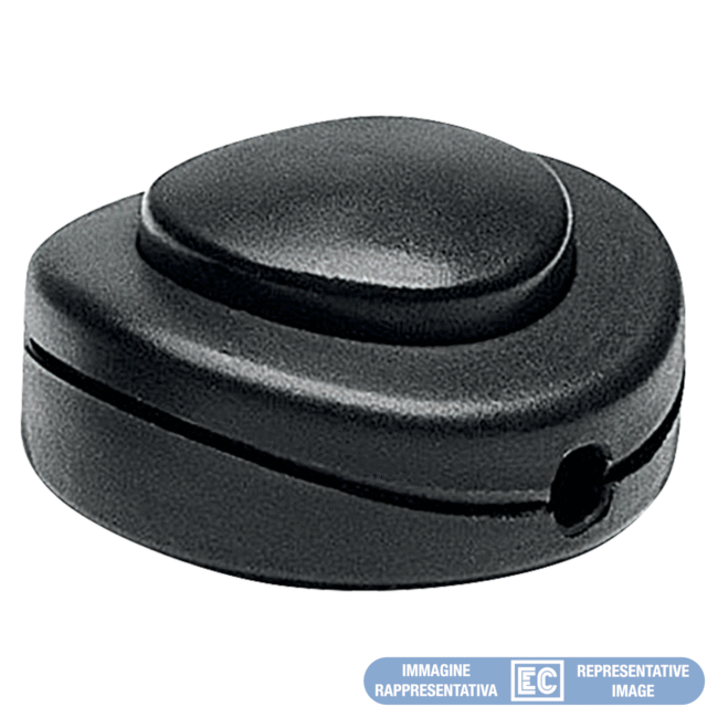 ECK52045