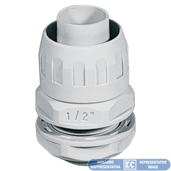 ECGX25-29