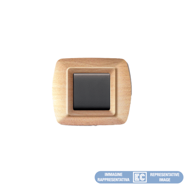 ECL2974BT