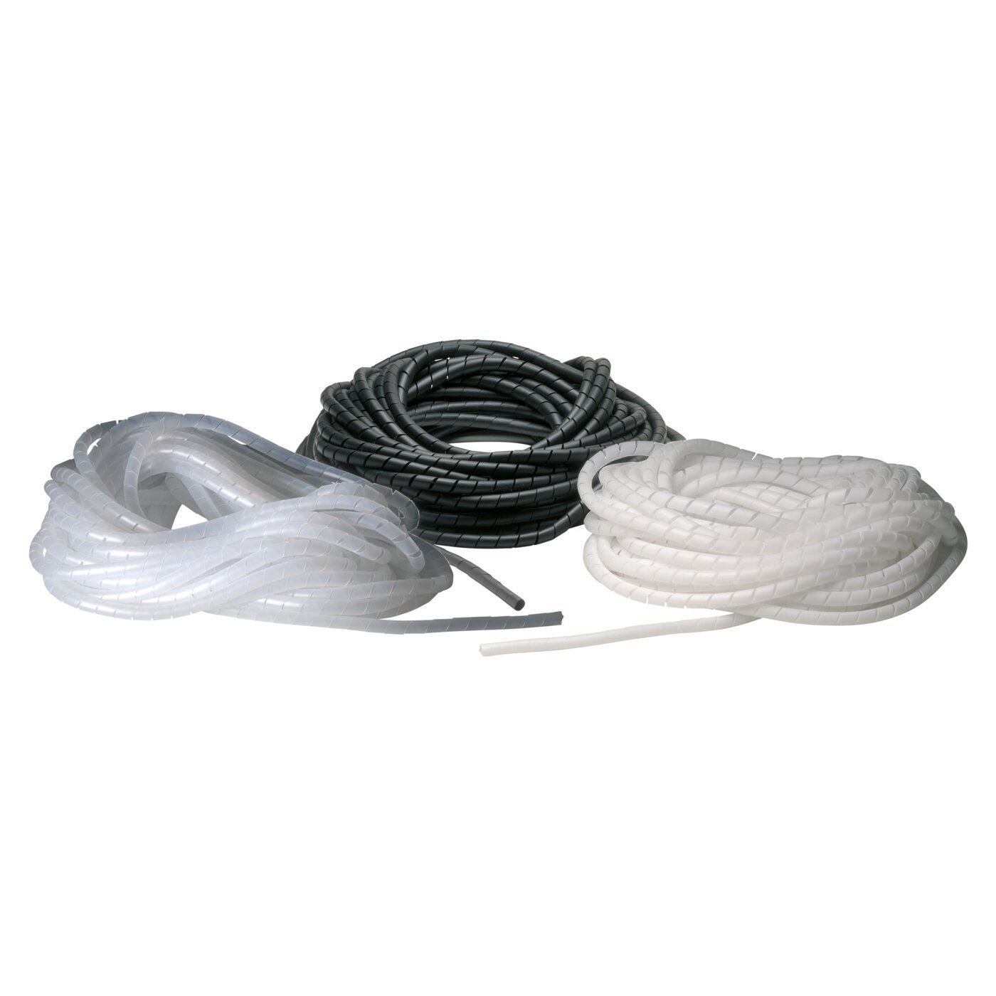 ECPN10